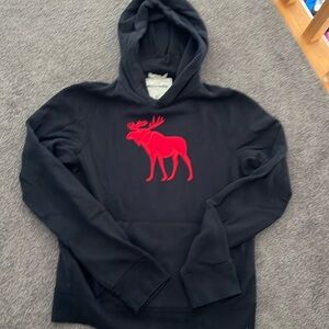 Abercrombie Kids Navy Hoodie